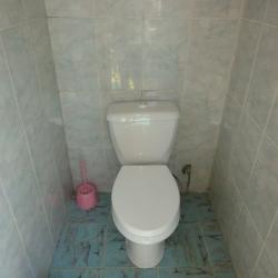 Фото Отель Южная пальмира