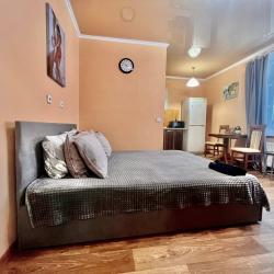 Апартаменты студия Геологоразведчиков 44А