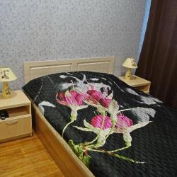 Фото Отель Вингс