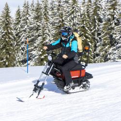 Фото Отель Ой-Карагай Лесная Сказка (Oi-Qaragai)