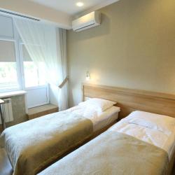 Номер стандарт с 1 двуспальной кроватью