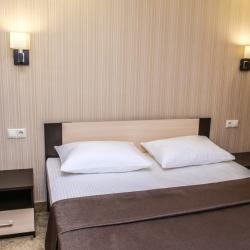 Номер люкс с 1 двуспальной кроватью