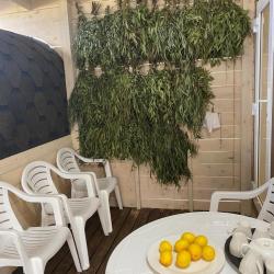 Фото Отель Тамыш Village (Тамыш Вилладж)