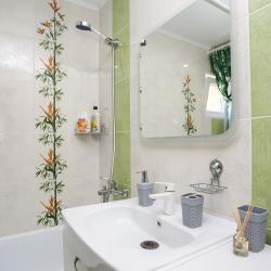 3-комнатные апартаменты люкс (мансарда)