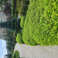 1-комнатные апартаменты улучшенные №2