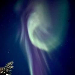 Фото Отель Лапландия