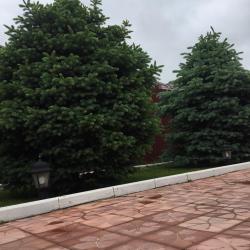 Фото Отель Алмаз