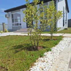 Фото Отель Коттедж Скандинавия Анапа