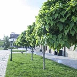 Фото Отель Scher Hof (Шер Хоф)