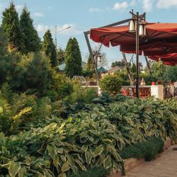 Фото Отель Альбицкий Сад