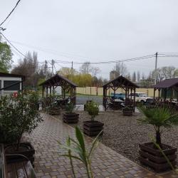 Фото Отель Маэстро