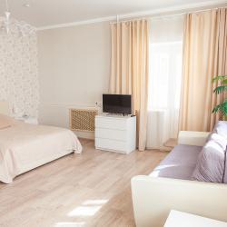 1-комнатный номер люкс