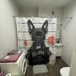 1-комнатные апартаменты стандарт Карла Либкнехта 112