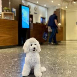 Cosmos Ekaterinburg Hotel (Космос Екатеринбург) (бывш. Park Inn by Radisson Ekaterinburg) — 1ec4a35373a90b76a85abefcce7ecf47
