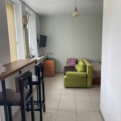 3-местные 1-комнатные апартаменты люкс