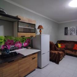 Фото Отель Дом около парка