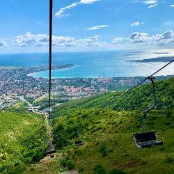 фото 53 Кипарис
