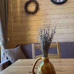 Фото Отель Шишка