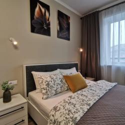 Фото Апартаменты Светлана на улице Советская