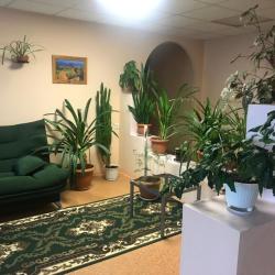 Фото Отель Северное сияние