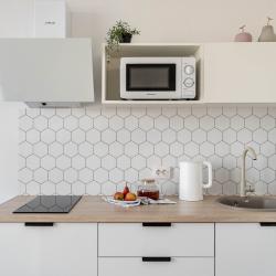 1-комнатные апартаменты улучшенные RoomyRoom у метро Ломоносовская