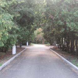 Фото Отель Бобачевская роща