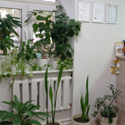 Фото iHostel (Айхостел)