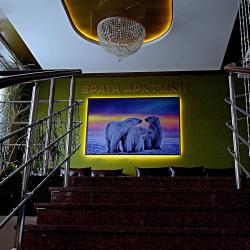 Фото Отель Врата Арктики