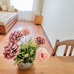 2-комнатные апартаменты люкс