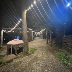 Фото Отель Дубрава