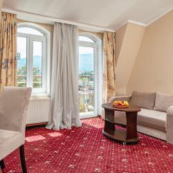 Номер полулюкс с 1 двуспальной кроватью