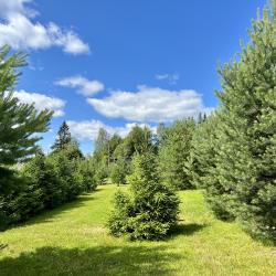 Фото Отель Филина Гора