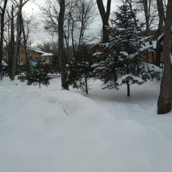 Фото Отель Звёздочка