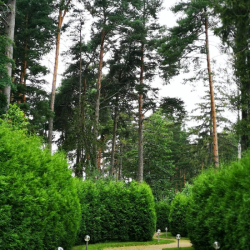 Фото Отель Гармония