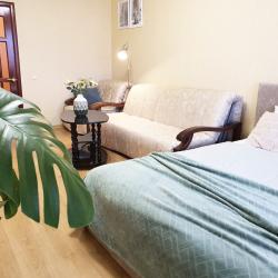 1-комнатные апартаменты улучшенные Самара, ул. Советской армии, 238А