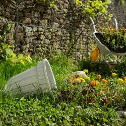 Фото Отель Butterfly (Батерфляй)