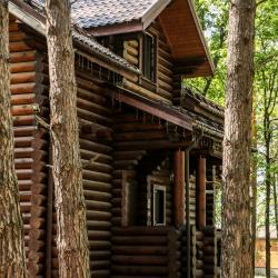 Фото Отель Гостевой комплекс Берег