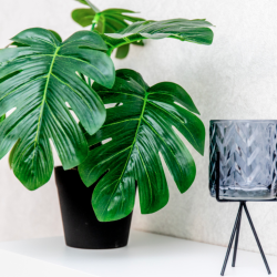 Фото Апартаменты на улице Республики 88