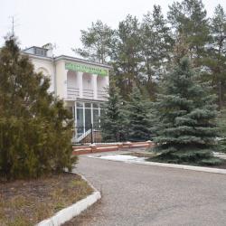 Фото Отель Лесная поляна