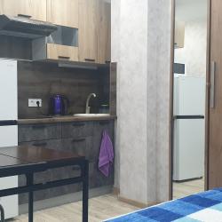 Фото Апартаменты на проспекте Мира 239