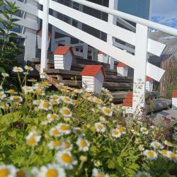 Фото Отель Уютный на улице Делегатская