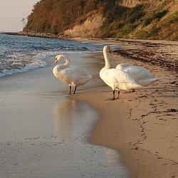 Фото Апартаменты на улице Новая дом 1