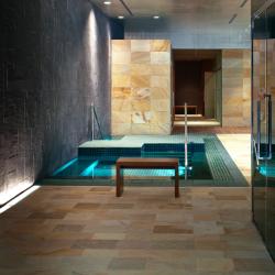 Фото Отель Barvikha Hotel & Spa (Барвиха)
