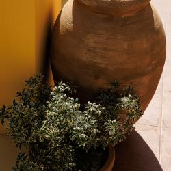 Фото Отель CASA DEL SOLE (Каза Дель Соль)