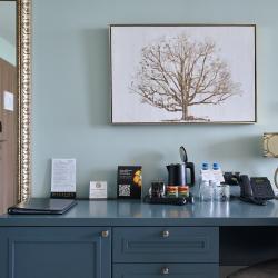 Номер люкс с 1 двуспальной кроватью