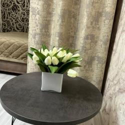 Фото Апартаменты на улице Красная 67