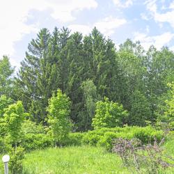 Фото поле-отель