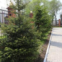 Фото Отель Барбарис