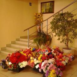 Фото Отель Березка