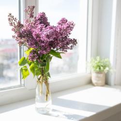 Фото Отель Мириады на улице Сибирская